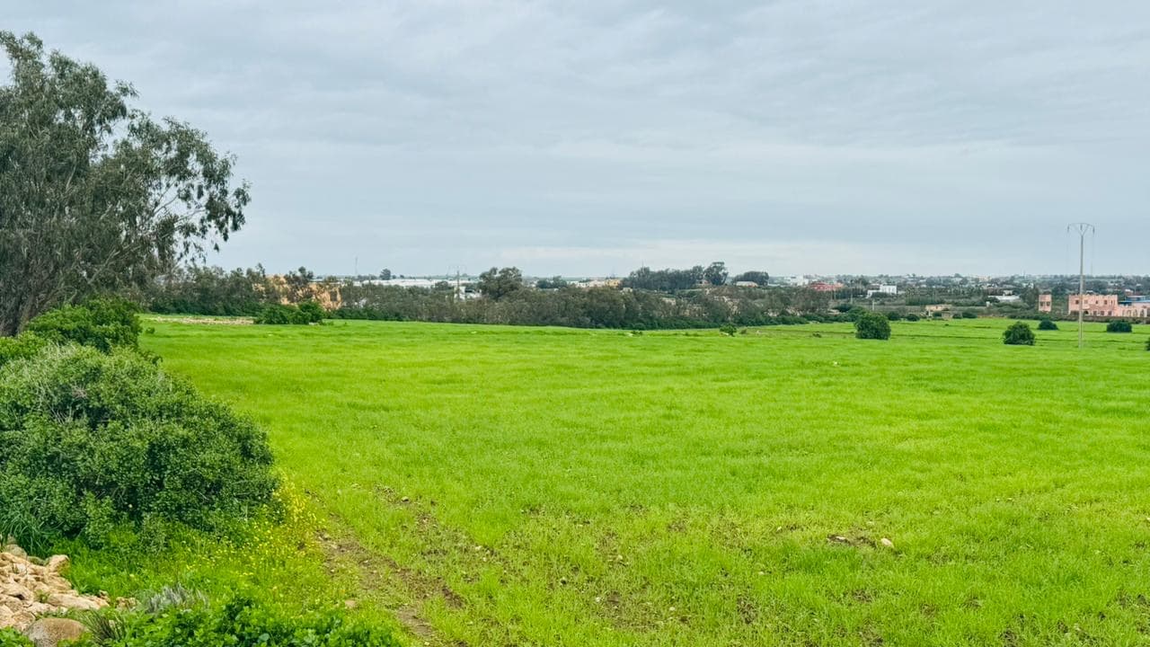 Terrain agricole de 1 hectare à vendre à Sidi Rahal